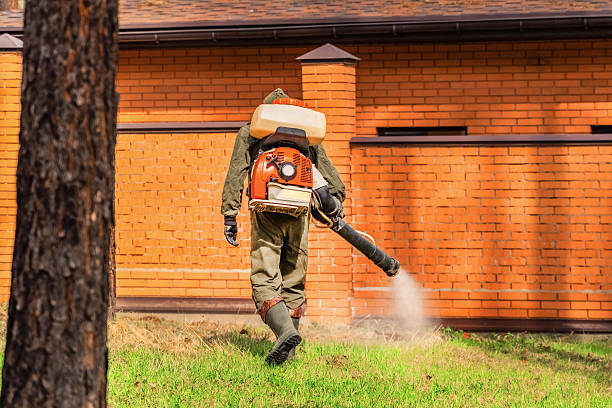 Top rated local Wasp Removal specialists in Corunna, MI